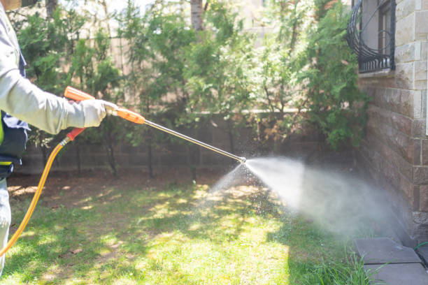 Best Emergency Pest Control  in Brookwood, AL